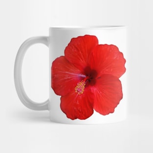 Cayenne flower Mug